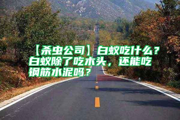 【殺蟲公司】白蟻吃什么？白蟻除了吃木頭，還能吃鋼筋水泥嗎？