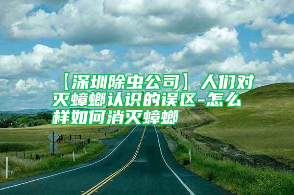 【深圳除蟲公司】人們對滅蟑螂認(rèn)識的誤區(qū)-怎么樣如何消滅蟑螂