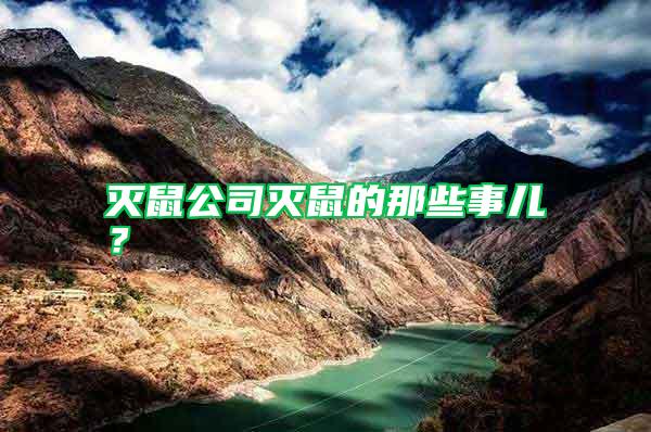 滅鼠公司滅鼠的那些事兒？
