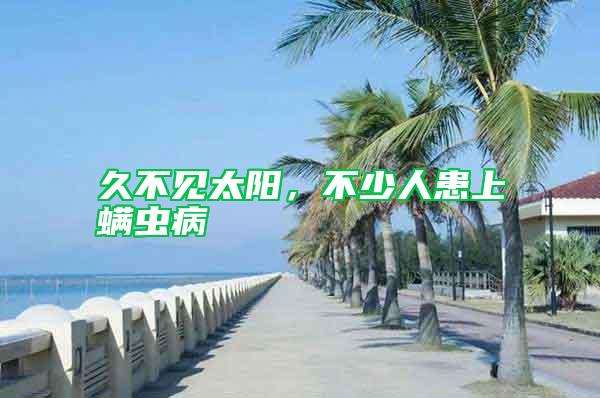 久不見太陽，不少人患上螨蟲病