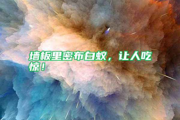 墻板里密布白蟻，讓人吃驚！