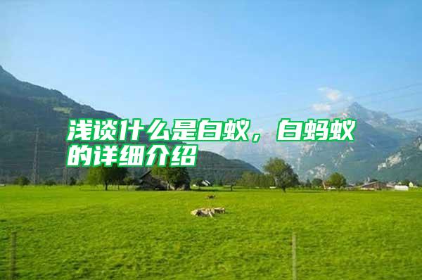 淺談什么是白蟻，白螞蟻的詳細介紹