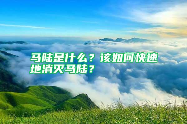 馬陸是什么？該如何快速地消滅馬陸？