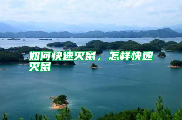 如何快速滅鼠，怎樣快速滅鼠