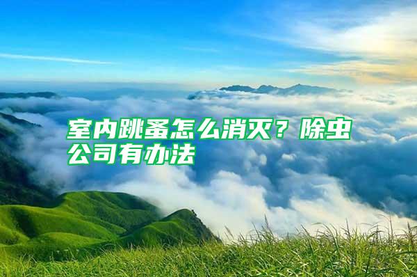 室內(nèi)跳蚤怎么消滅？除蟲公司有辦法