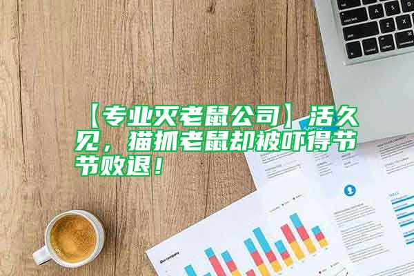 【專業(yè)滅老鼠公司】活久見，貓抓老鼠卻被嚇得節(jié)節(jié)敗退！