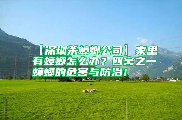 【深圳殺蟑螂公司】家里有蟑螂怎么辦？四害之一蟑螂的危害與防治！