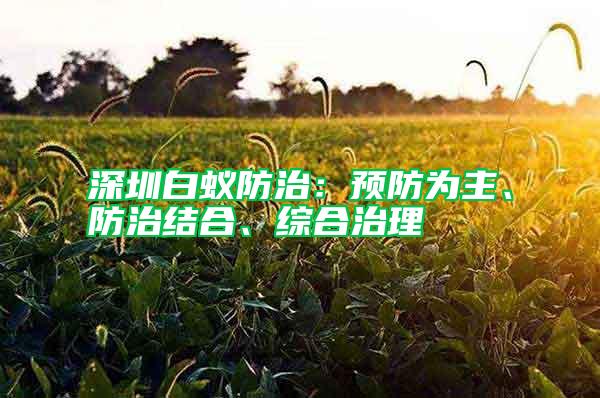 深圳白蟻防治：預(yù)防為主、防治結(jié)合、綜合治理