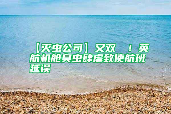 【滅蟲公司】又雙叒叕！英航機(jī)艙臭蟲肆虐致使航班延誤