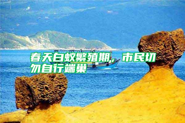 春天白蟻繁殖期，市民切勿自行端巢