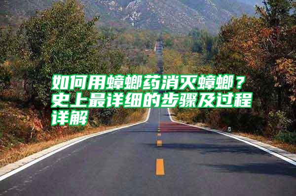 如何用蟑螂藥消滅蟑螂？史上最詳細(xì)的步驟及過程詳解
