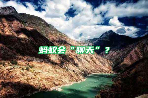 螞蟻會“聊天”？