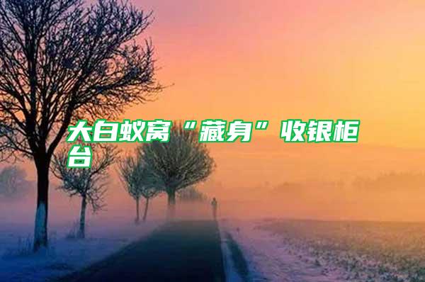 大白蟻窩“藏身”收銀柜臺(tái)