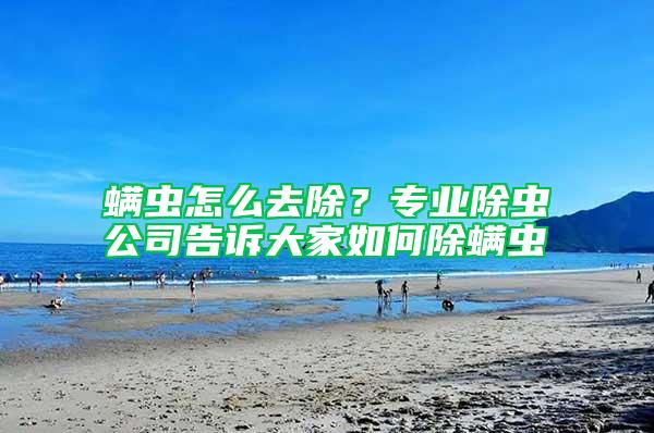 螨蟲(chóng)怎么去除？專(zhuān)業(yè)除蟲(chóng)公司告訴大家如何除螨蟲(chóng)