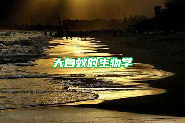 大白蟻的生物學(xué)