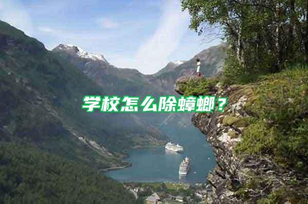 學(xué)校怎么除蟑螂？