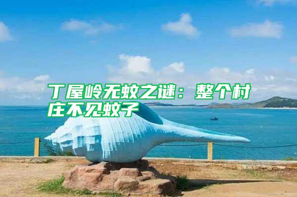 丁屋嶺無(wú)蚊之謎：整個(gè)村莊不見(jiàn)蚊子