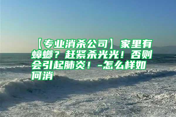 【專業(yè)消殺公司】家里有蟑螂？趕緊殺光光！否則會(huì)引起肺炎！-怎么樣如何消