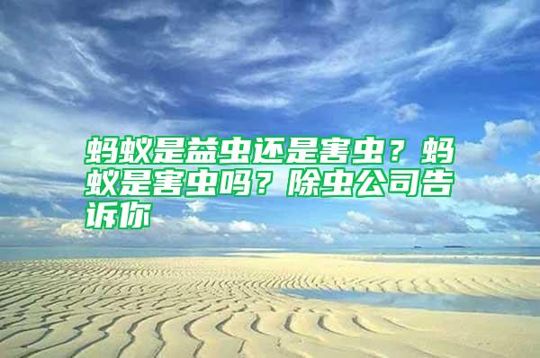 螞蟻是益蟲(chóng)還是害蟲(chóng)？螞蟻是害蟲(chóng)嗎？除蟲(chóng)公司告訴你