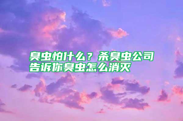 臭蟲怕什么？殺臭蟲公司告訴你臭蟲怎么消滅