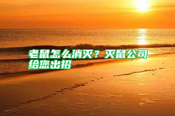 老鼠怎么消滅？滅鼠公司給您出招