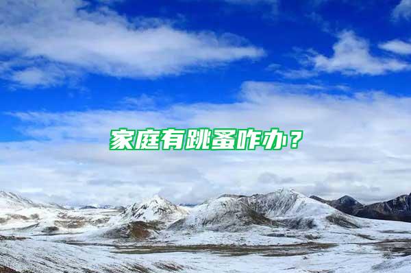 家庭有跳蚤咋辦？