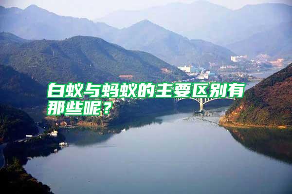 白蟻與螞蟻的主要區(qū)別有那些呢？