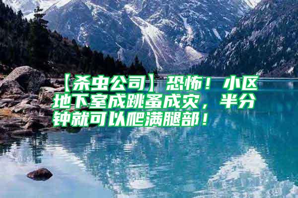 【殺蟲公司】恐怖！小區(qū)地下室成跳蚤成災(zāi)，半分鐘就可以爬滿腿部！
