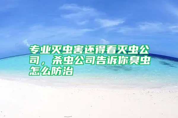 專業(yè)滅蟲害還得看滅蟲公司，殺蟲公司告訴你臭蟲怎么防治