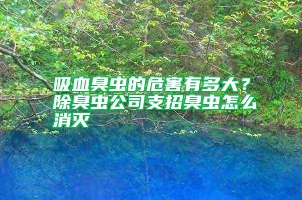 吸血臭蟲的危害有多大？除臭蟲公司支招臭蟲怎么消滅