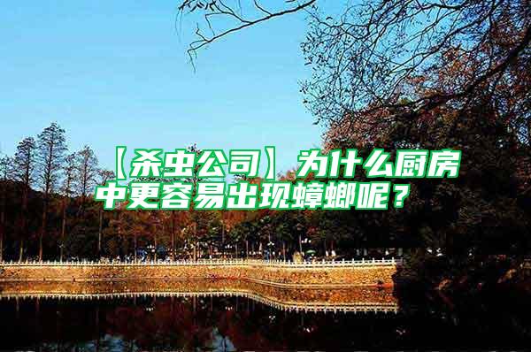 【殺蟲公司】為什么廚房中更容易出現(xiàn)蟑螂呢？