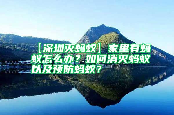 【深圳滅螞蟻】家里有螞蟻怎么辦？如何消滅螞蟻以及預(yù)防螞蟻？
