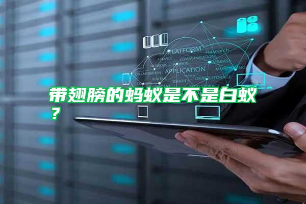 帶翅膀的螞蟻是不是白蟻？