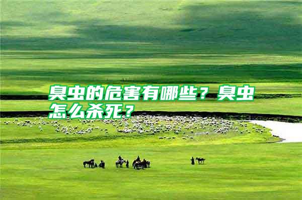 臭蟲的危害有哪些？臭蟲怎么殺死？