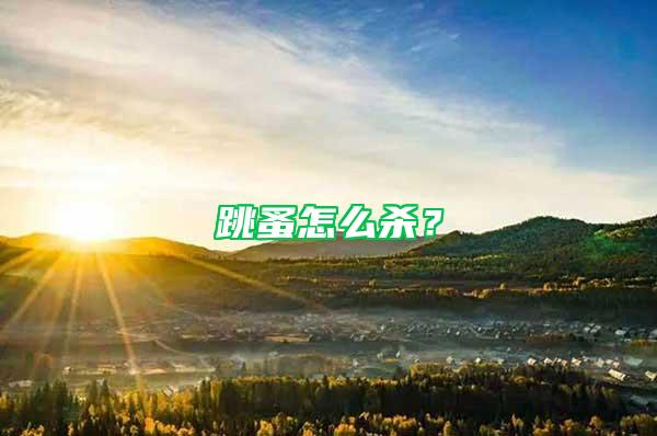 跳蚤怎么殺？
