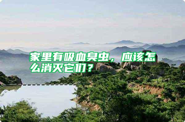 家里有吸血臭蟲，應(yīng)該怎么消滅它們？