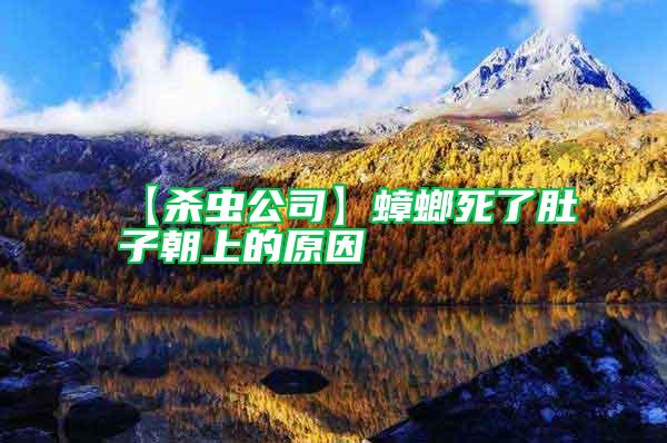 【殺蟲(chóng)公司】蟑螂死了肚子朝上的原因