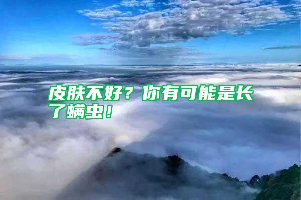皮膚不好？你有可能是長了螨蟲！