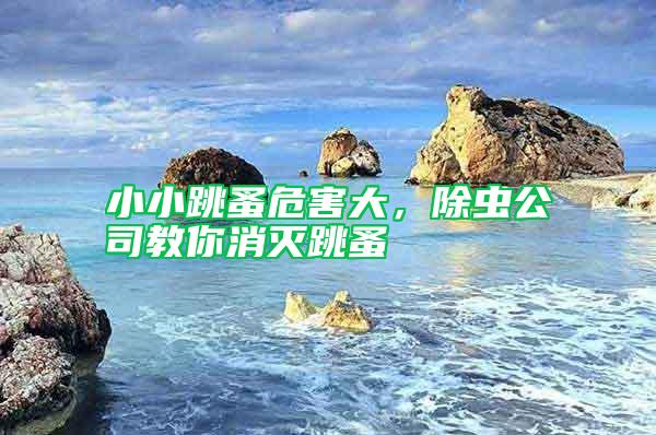 小小跳蚤危害大，除蟲公司教你消滅跳蚤