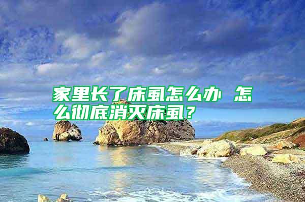 家里長了床虱怎么辦 怎么徹底消滅床虱？
