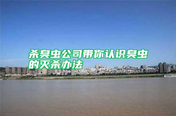 殺臭蟲(chóng)公司帶你認(rèn)識(shí)臭蟲(chóng)的滅殺辦法