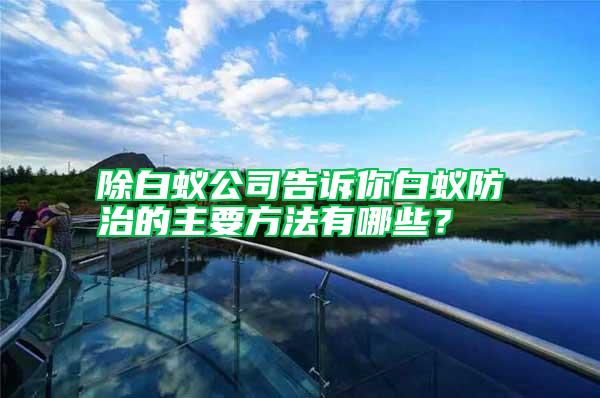除白蟻公司告訴你白蟻防治的主要方法有哪些？