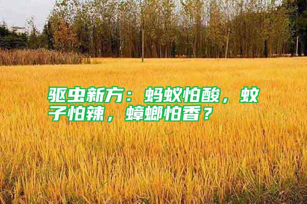 驅(qū)蟲新方：螞蟻怕酸，蚊子怕辣，蟑螂怕香？