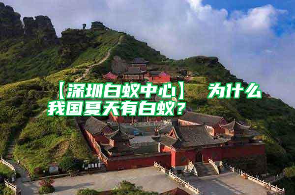 【深圳白蟻中心】 為什么我國夏天有白蟻？