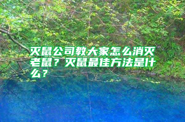 滅鼠公司教大家怎么消滅老鼠？滅鼠最佳方法是什么？