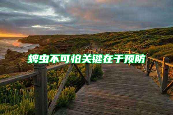 蜱蟲(chóng)不可怕關(guān)鍵在于預(yù)防