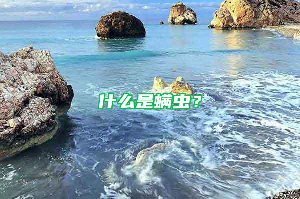 什么是螨蟲？