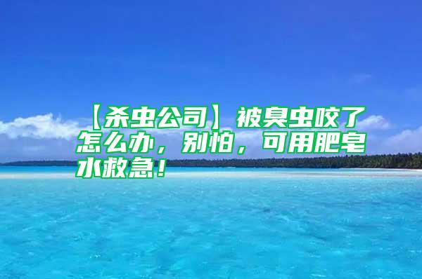 【殺蟲公司】被臭蟲咬了怎么辦，別怕，可用肥皂水救急！