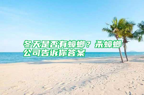 冬天是否有蟑螂？殺蟑螂公司告訴你答案
