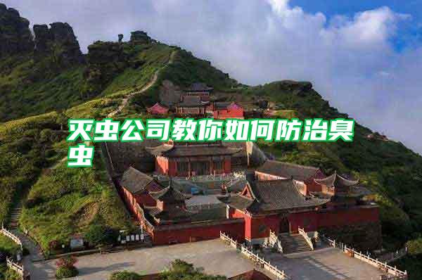 滅蟲(chóng)公司教你如何防治臭蟲(chóng)